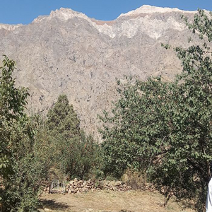 Сурхон диёрида “Чил духтарон”- “Қирқ қиз”лар билан боғлиқ қарашлар